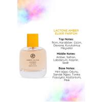 Amber Elixir Eau De Parfum - 597 / Parfüm 100 ml