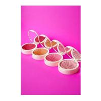 Blusher California - Ca05 Professional Make Up / Allık