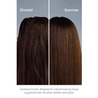 Exotic Breezes Dry Shampoo Keratin Complex 200 ml / Kuru Şampuan - 1 Adet Oje Hediyeli