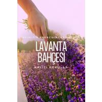 Lavanta Bambu Oda Kokusu Yedek Likit 1000 ml / Lavender Reed Diffuser Liquid